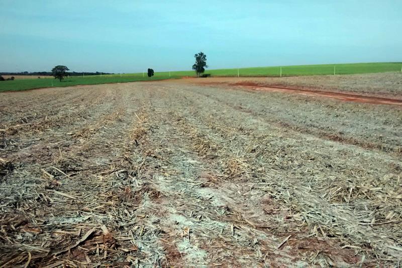 Seis assentamentos de Palestina do Pará são beneficiados com assinatura